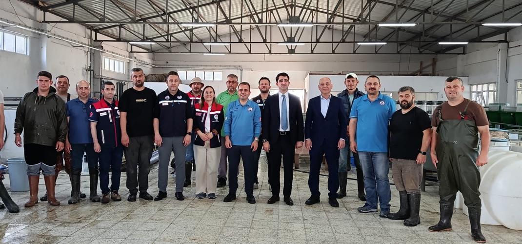 2026 Yılı Sazan Balığı Yavrusu Üretim Çalışmalarımız Başladı