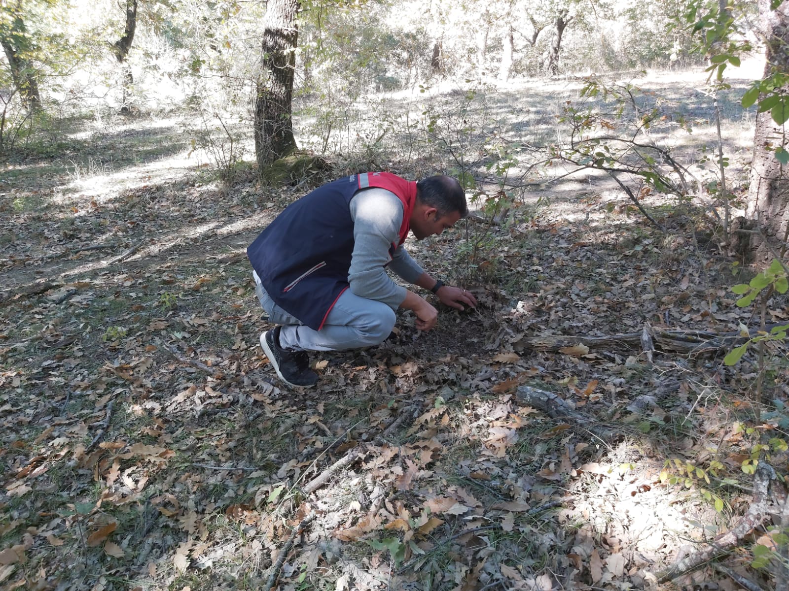 Kışlaklarda Süne Sonbahar Sürvey Çalışmaları