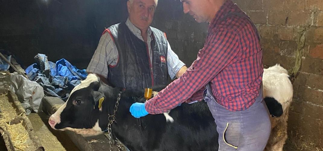 Keşan ve Uzunköprü’de Hayvan Aşılama ve Küpeleme Çalışmaları