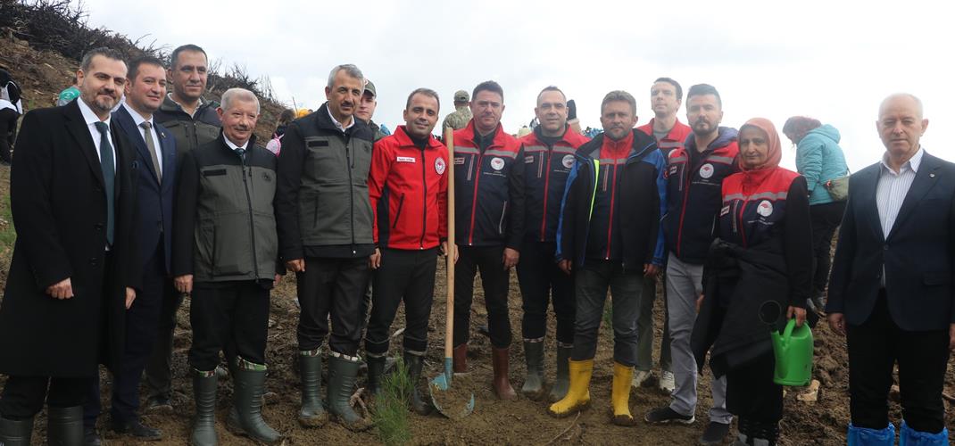 Milli Ağaçlandırma Günü