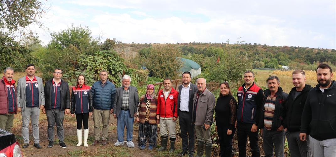 Sera Kurulumu Projesinde İncelemeler